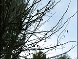  - VklDkm.SexTgem.Com