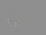  - VklDkm.SexTgem.Com